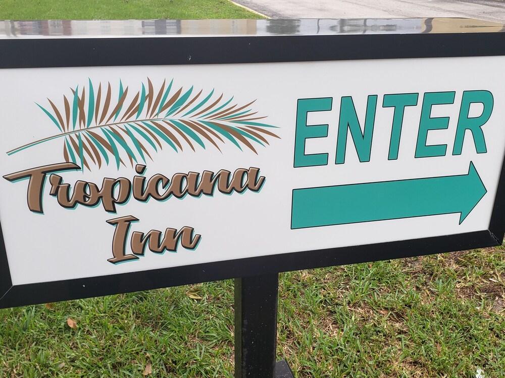 Quality Inn Saint Petersburg North-Tampa Bay St. Petersburg Exterior foto