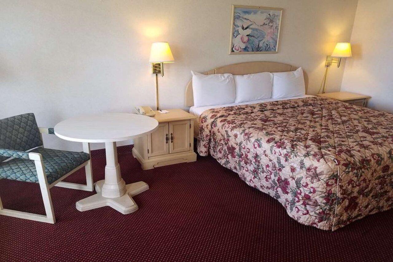 Quality Inn Saint Petersburg North-Tampa Bay St. Petersburg Exterior foto