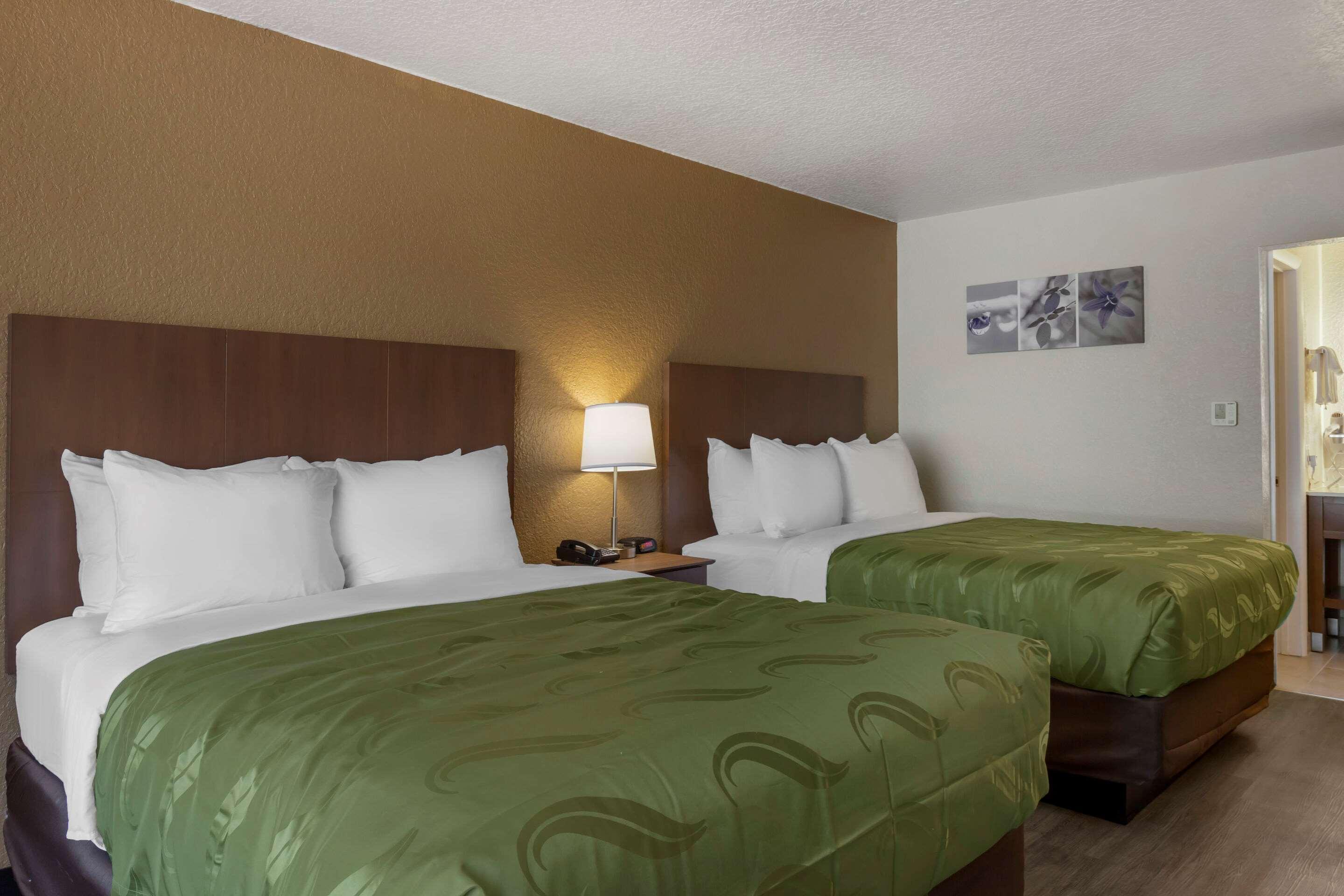 Quality Inn Saint Petersburg North-Tampa Bay St. Petersburg Exterior foto
