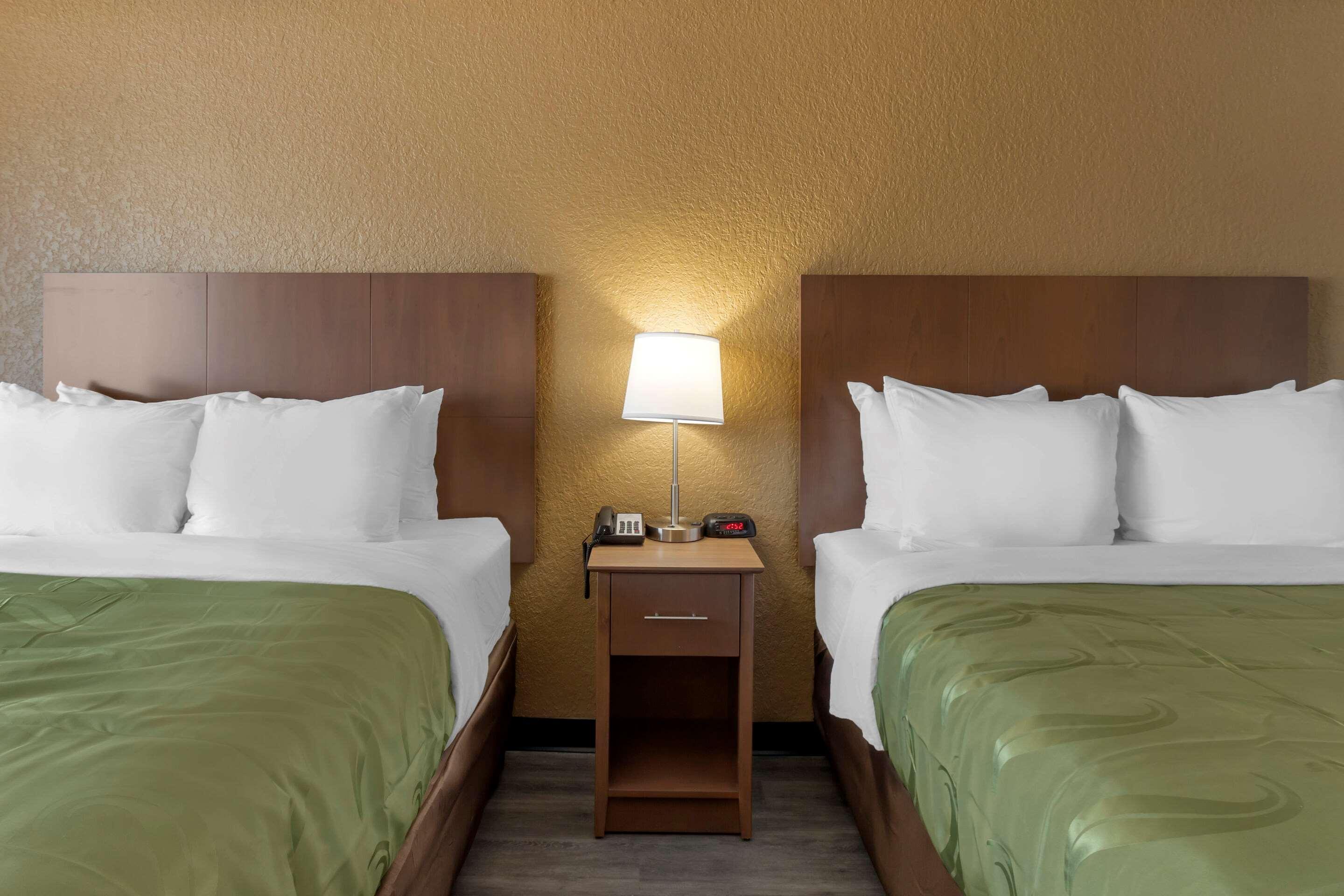 Quality Inn Saint Petersburg North-Tampa Bay St. Petersburg Exterior foto