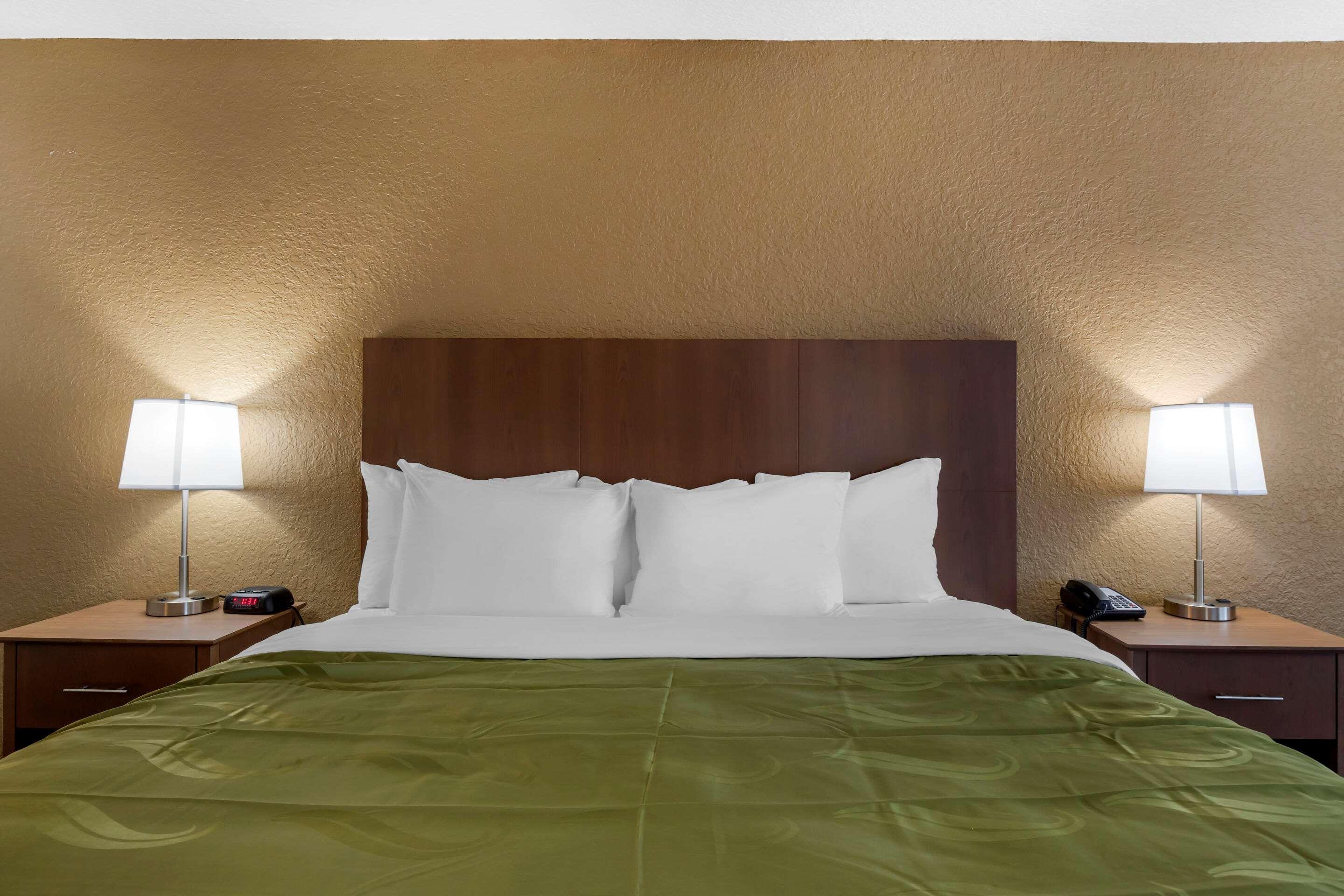 Quality Inn Saint Petersburg North-Tampa Bay St. Petersburg Exterior foto